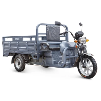 Грузовой электротрицикл Rutrike Титан NEXT 2000 60V1500W Серый